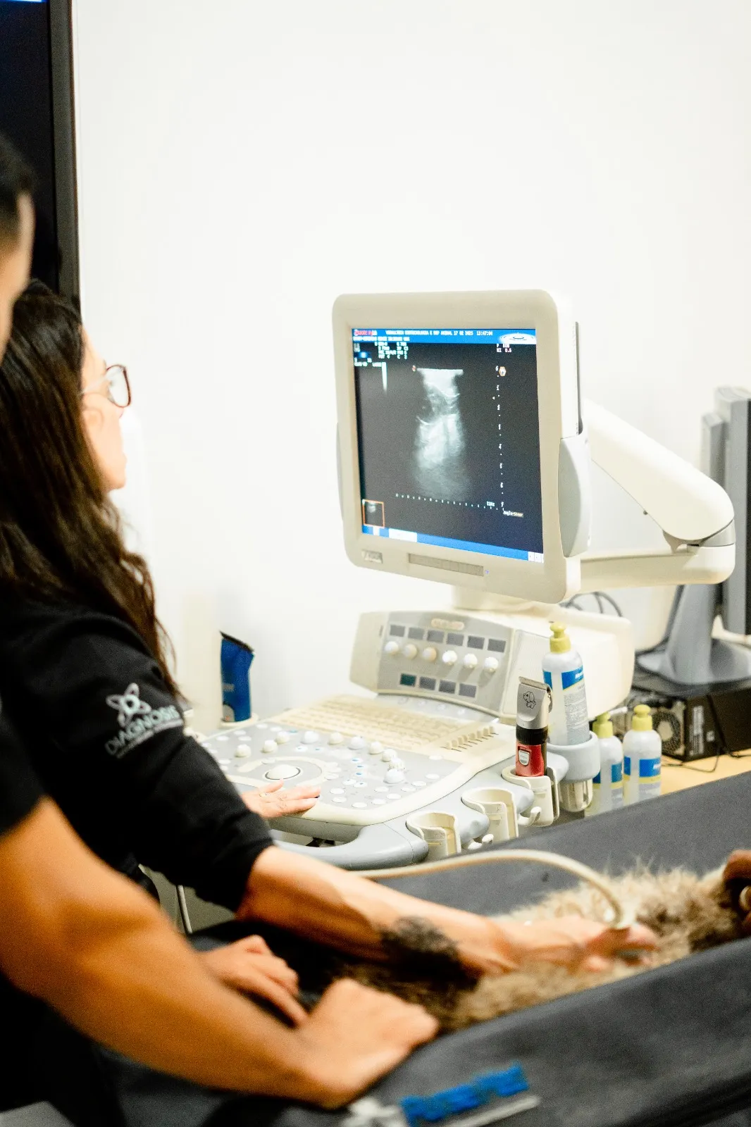 Consulta veterinária