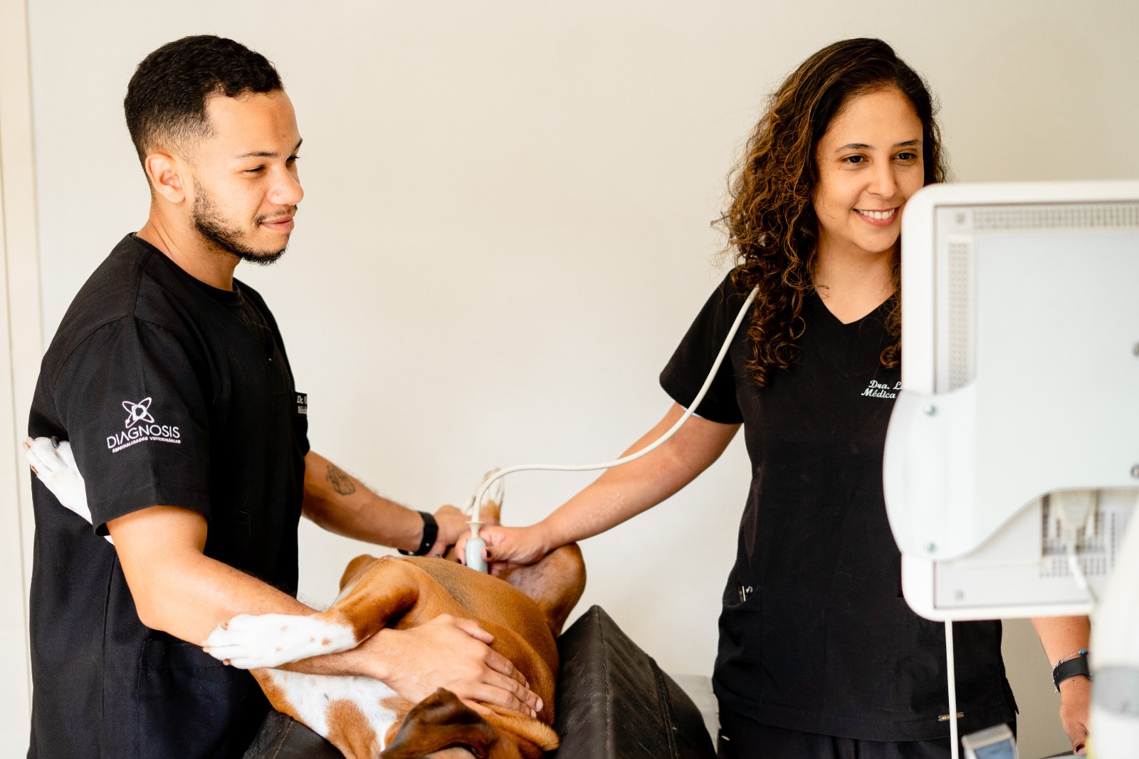 Profissional da equipe veterinária